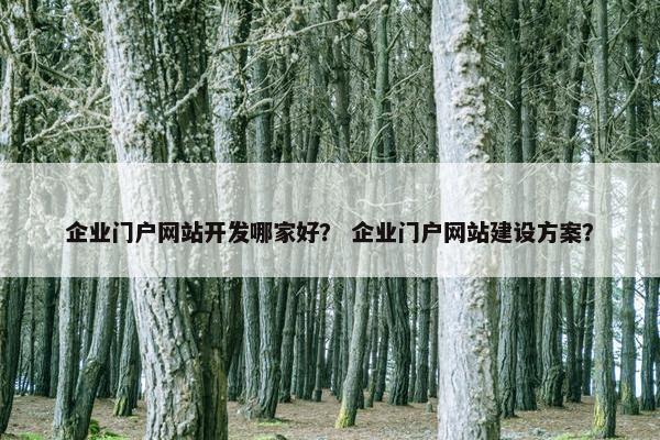 企业门户网站开发哪家好？ 企业门户网站建设方案？
