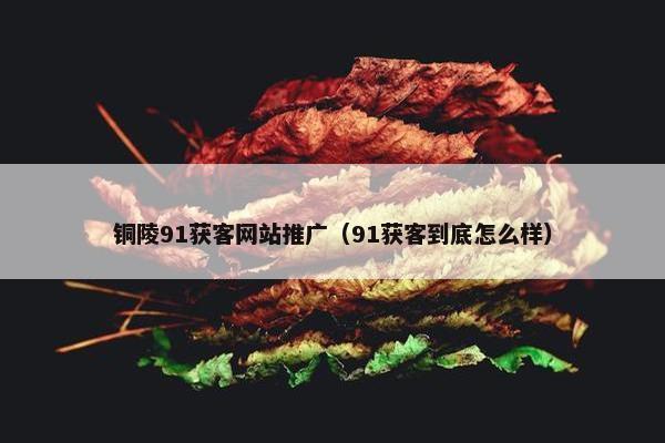 铜陵91获客网站推广（91获客到底怎么样）