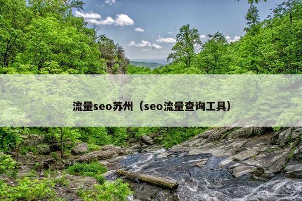 流量seo苏州（seo流量查询工具）