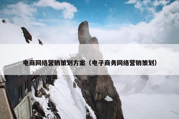 电商网络营销策划方案（电子商务网络营销策划）