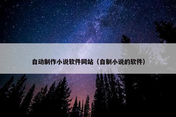 自动制作小说软件网站（自制小说的软件）