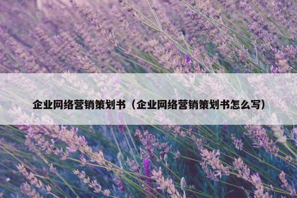 企业网络营销策划书（企业网络营销策划书怎么写）