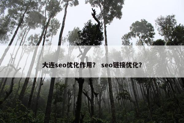 大连seo优化作用？ seo链接优化？