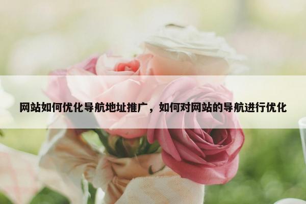 网站如何优化导航地址推广，如何对网站的导航进行优化