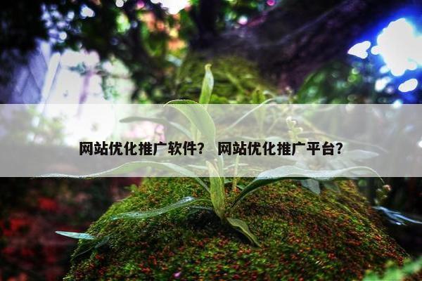 网站优化推广软件？ 网站优化推广平台？