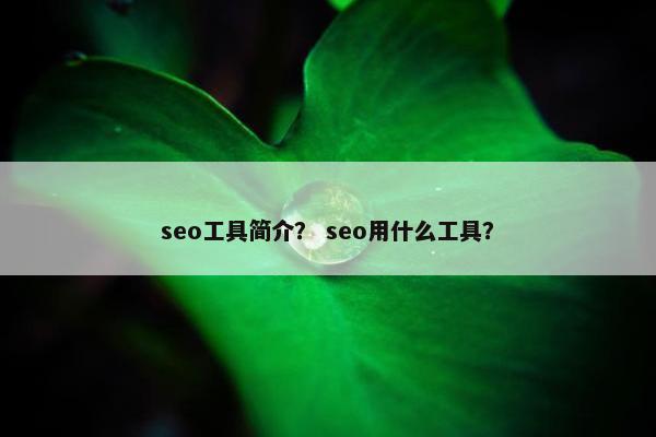 seo工具简介？ seo用什么工具？