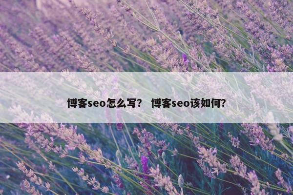 博客seo怎么写？ 博客seo该如何？