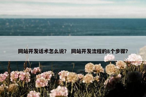 网站开发话术怎么说？ 网站开发流程的8个步骤？