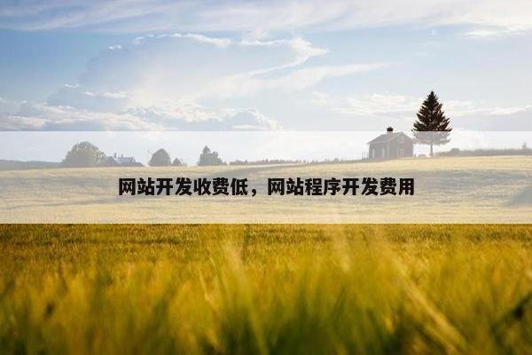 网站开发收费低，网站程序开发费用