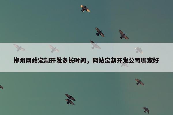 郴州网站定制开发多长时间，网站定制开发公司哪家好