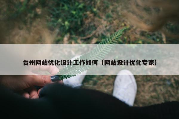 台州网站优化设计工作如何（网站设计优化专家）