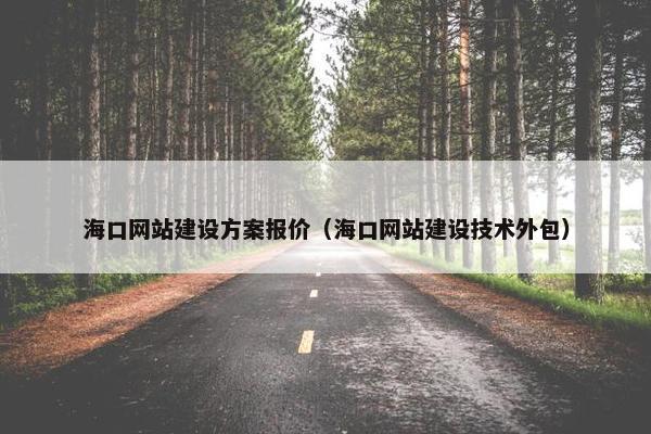 海口网站建设方案报价（海口网站建设技术外包）
