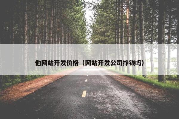 他网站开发价格（网站开发公司挣钱吗）