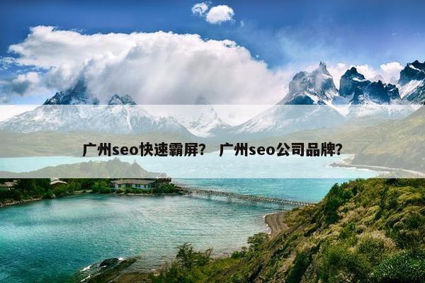广州seo快速霸屏？ 广州seo公司品牌？