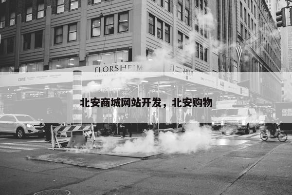 北安商城网站开发，北安购物