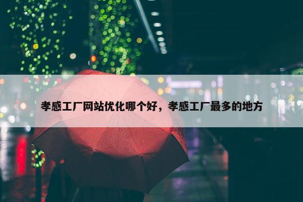 孝感工厂网站优化哪个好，孝感工厂最多的地方