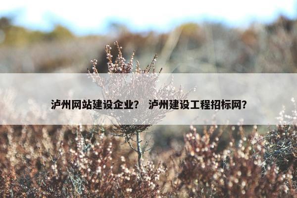 泸州网站建设企业？ 泸州建设工程招标网？