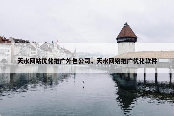 天水网站优化推广外包公司，天水网络推广优化软件