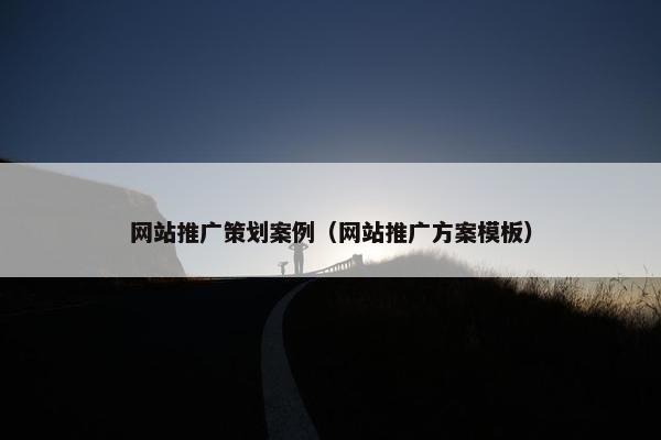 网站推广策划案例（网站推广方案模板）