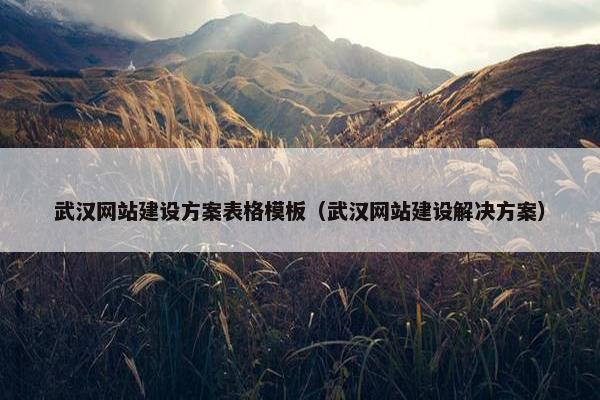 武汉网站建设方案表格模板（武汉网站建设解决方案）