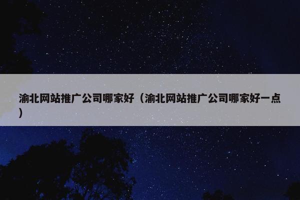 渝北网站推广公司哪家好（渝北网站推广公司哪家好一点）