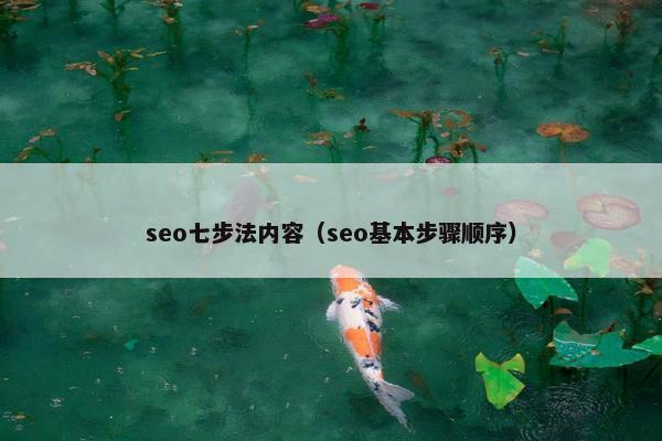 seo七步法内容（seo基本步骤顺序）