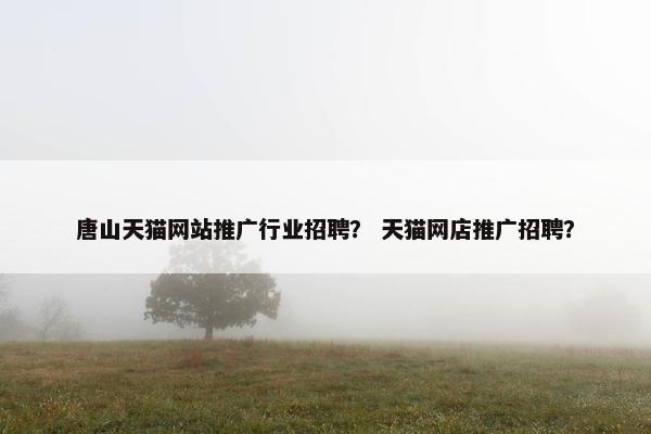 唐山天猫网站推广行业招聘？ 天猫网店推广招聘？