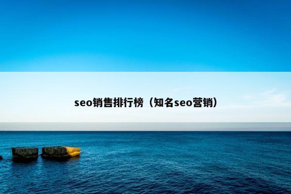 seo销售排行榜（知名seo营销）