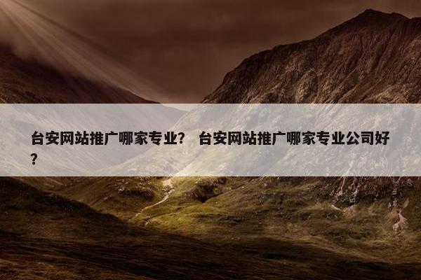 台安网站推广哪家专业？ 台安网站推广哪家专业公司好？