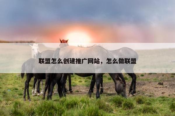 联盟怎么创建推广网站，怎么做联盟