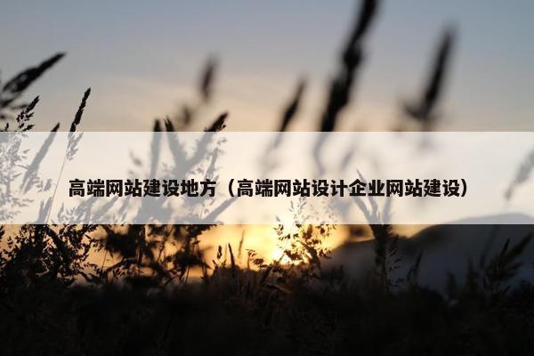 高端网站建设地方（高端网站设计企业网站建设）