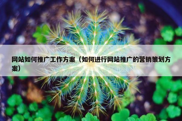 网站如何推广工作方案（如何进行网站推广的营销策划方案）