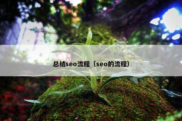总结seo流程（seo的流程）