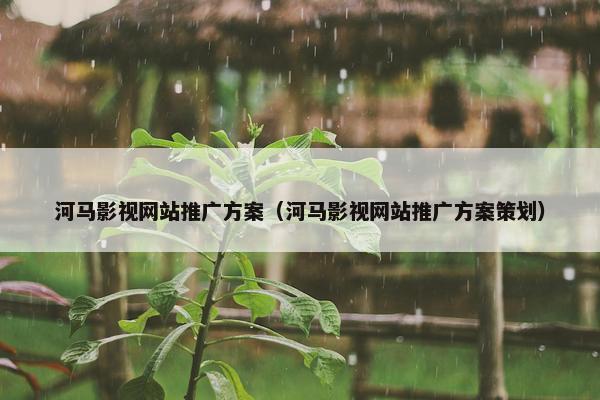 河马影视网站推广方案（河马影视网站推广方案策划）
