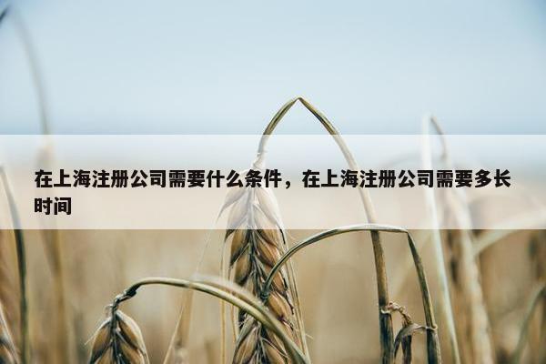在上海注册公司需要什么条件，在上海注册公司需要多长时间