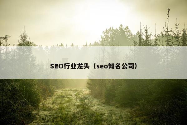 SEO行业龙头（seo知名公司）
