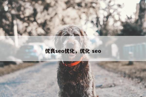 优良seo优化，优化 seo