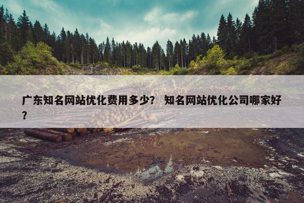 广东知名网站优化费用多少？ 知名网站优化公司哪家好？