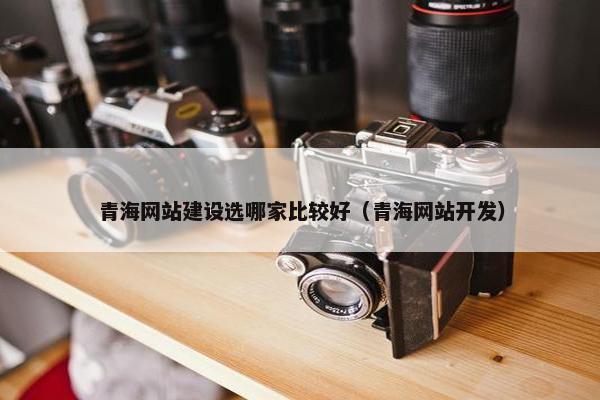 青海网站建设选哪家比较好（青海网站开发）