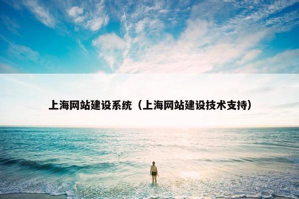 上海网站建设系统（上海网站建设技术支持）
