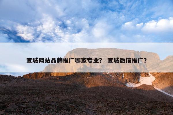 宣城网站品牌推广哪家专业？ 宣城微信推广？