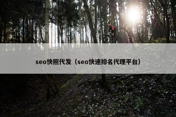 seo快照代发（seo快速排名代理平台）