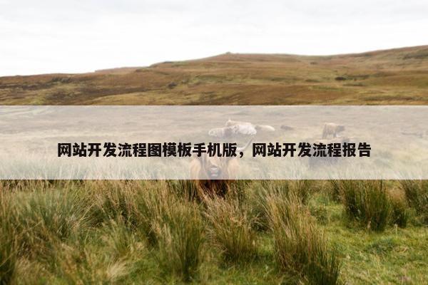 网站开发流程图模板手机版，网站开发流程报告
