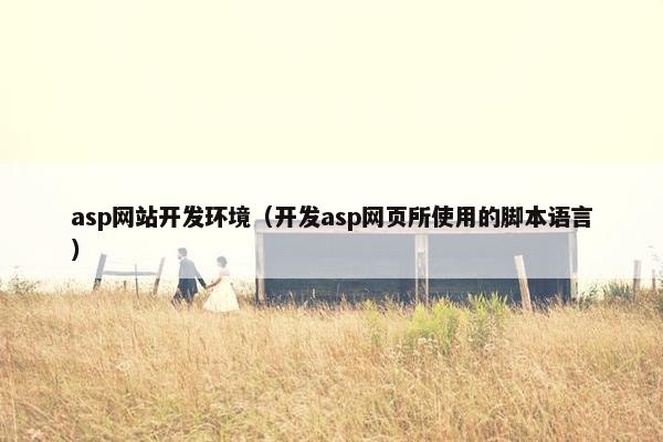 asp网站开发环境（开发asp网页所使用的脚本语言）