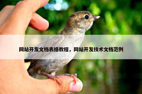 网站开发文档表格教程，网站开发技术文档范例