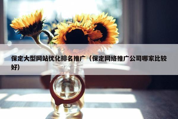 保定大型网站优化排名推广（保定网络推广公司哪家比较好）