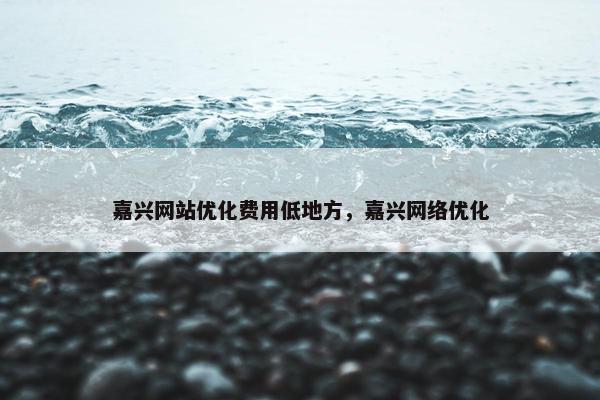 嘉兴网站优化费用低地方，嘉兴网络优化