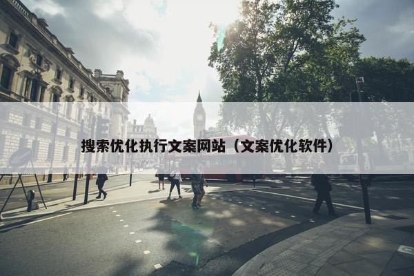 搜索优化执行文案网站（文案优化软件）