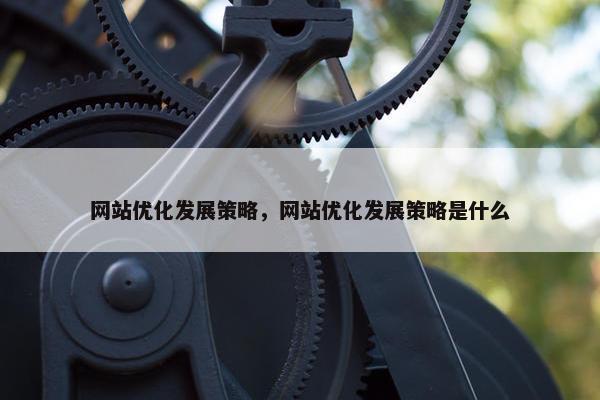 网站优化发展策略，网站优化发展策略是什么