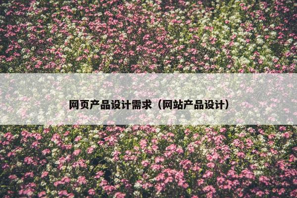 网页产品设计需求（网站产品设计）